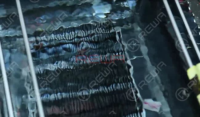 iPhone Aftermarket Glass Lens Factory Tour in China