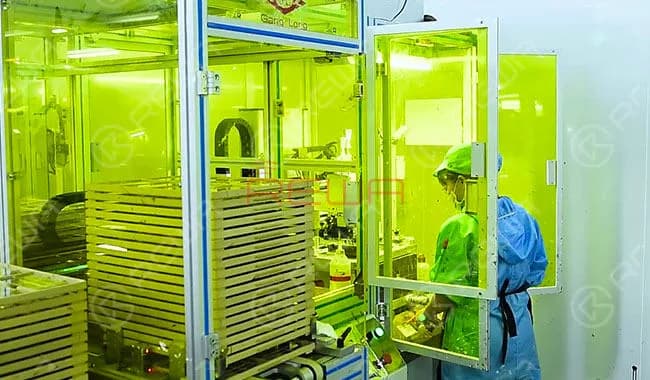 iPhone Aftermarket Glass Lens Factory Tour in China