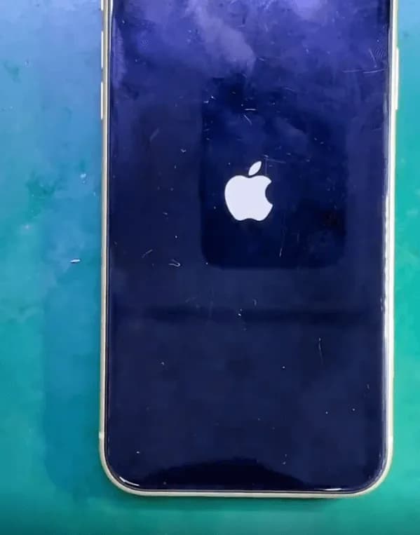 El iPhone XR se reinicia continuamente.