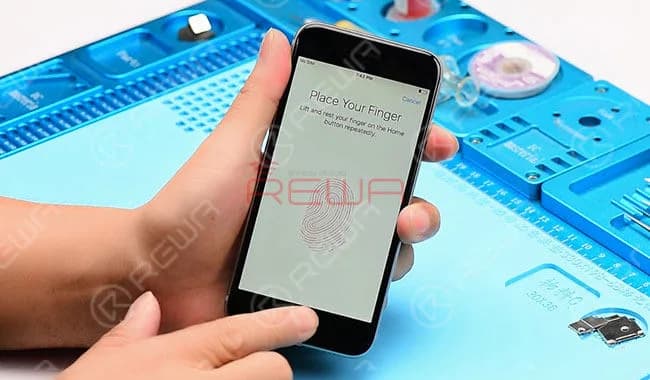 How to Restore iPhone Touch ID With Home Button Flex Repairing