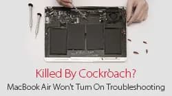 MacBook Air Can Not Turn On Troubleshooting-Killed By Cockroach?