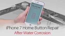 How To Fix iPhone 7 Home Button Not Working After Water Damage