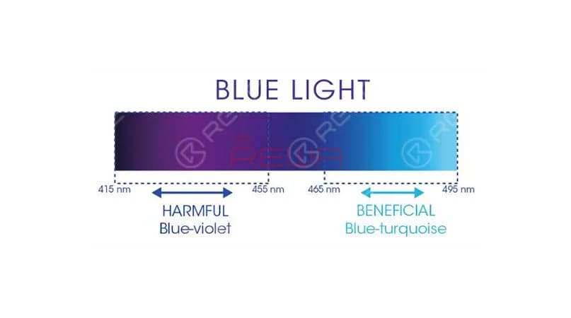 highly susceptible to the dangers of blue light.