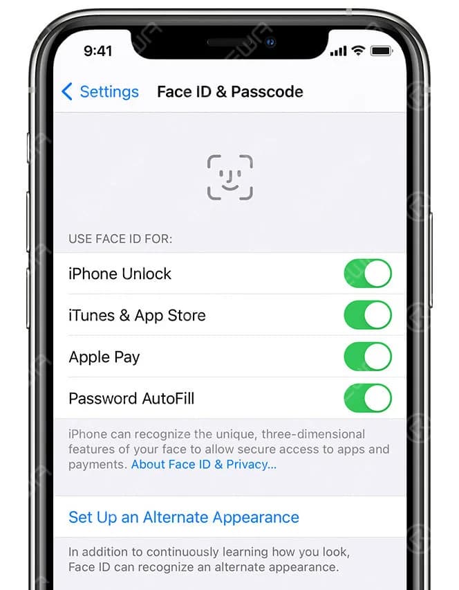 información facial